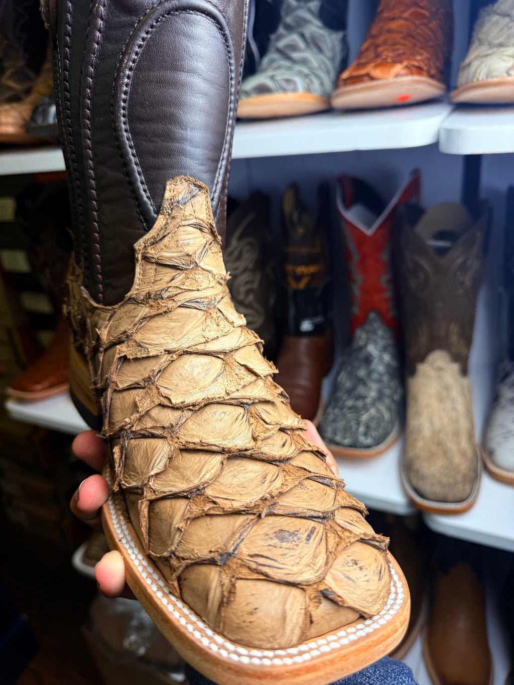 Genuine fish sizes 6-13