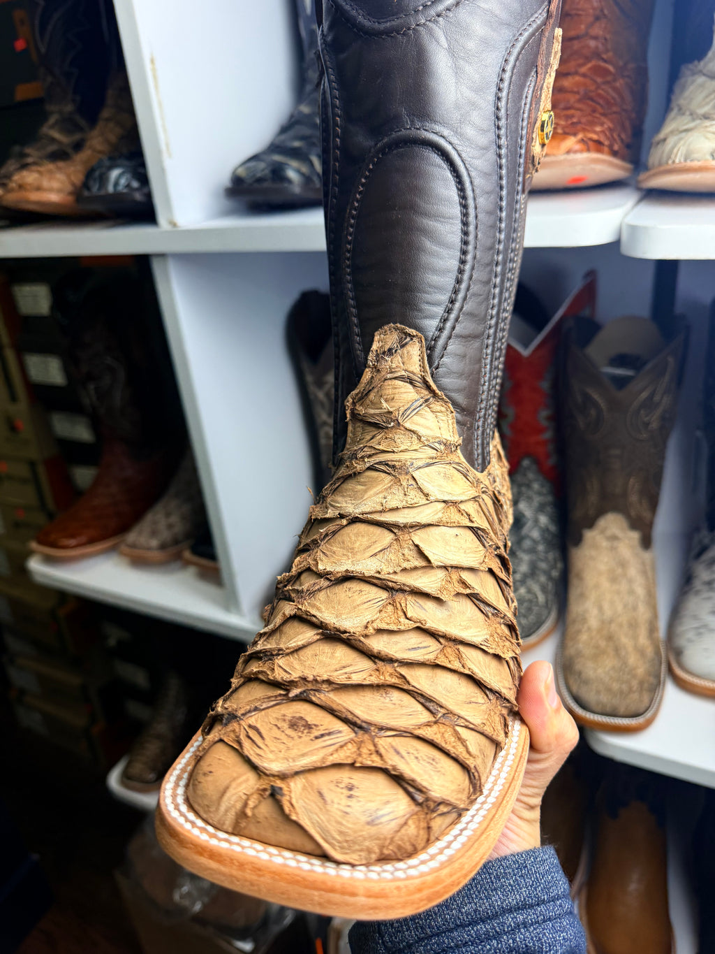 Genuine fish sizes 6-13